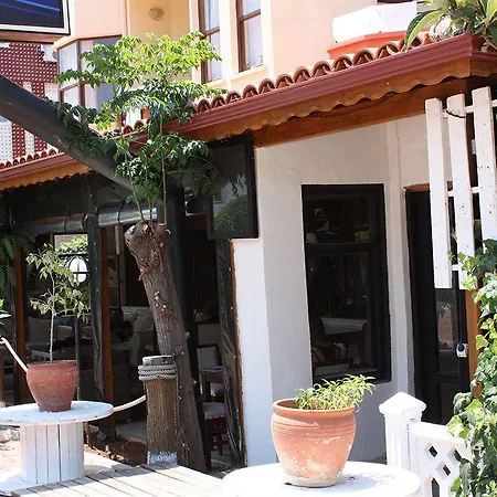 Hotel Spring 4*