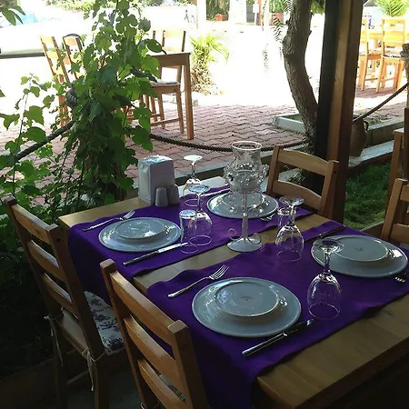 Spring Hotel 4*